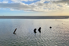 Wrack im flachen Wasser