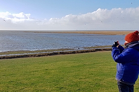 Freiwillige blickt auf die See vor Friedrichskoog