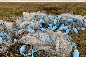 Netzrest in der Salzwiese