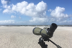 Vogelzähl-Fernrohr auf dem Norderoogsand