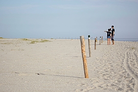 Pfahlreihe auf dem Strand