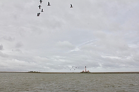 Der Leuchtturm Westerhever im weitgehend überfluteten Vorland.