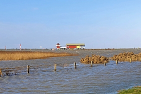 Landunter im Husumer Dockkoog