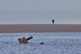 Holzstücke ragen aus Flachwasser