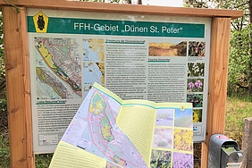 Infotafel und Faltblatt zum Dünenschutzgebiet