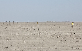 Schilderreihe auf der Sandbank
