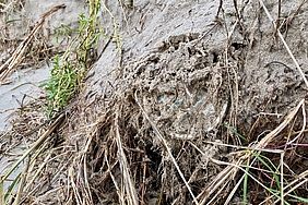 Plastikdeckel im Sand