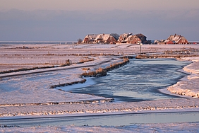 Verschneite Hallig Hooge im Morgenlicht