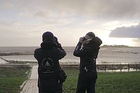 Vogelkiek bei Landunter