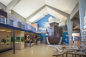 Die noch geschlossene Erlebnisausstellung im Nationalpark-Haus "Arche Wattenmeer"