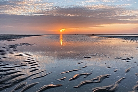 Sonnenuntergang am Watt