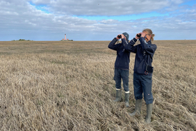 Zwei Freiwillige blicken mit Ferngläsen über die Salzwiese