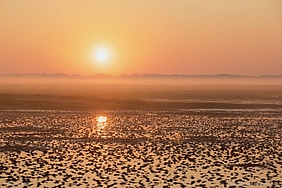 Nebliger Sonnenaufgang über dem Watt