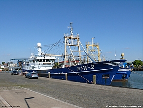 Miesmuschel-Fangschiffe im Husumer Hafen