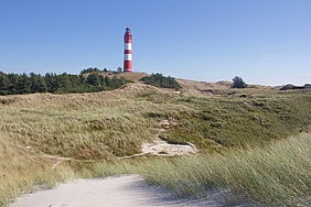 Dünen am Amrumer Leuchtturm