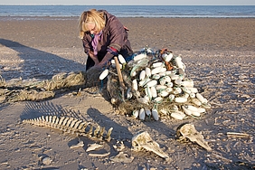 Netzrest am Strand mit Schweinswal-Knochen