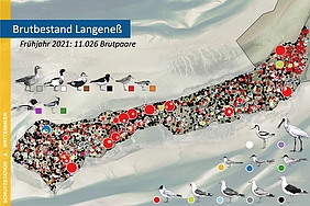 Karte der Brutvögel auf Langeneß 2021