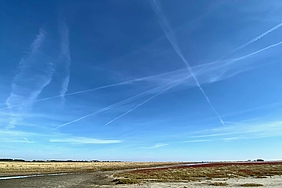 Zahlreiche Kondenstreifen kreuzen den Himmel