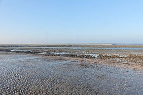 Kleefeld