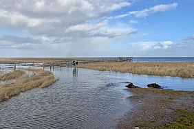 Überflutete Wiesen auf Amrum